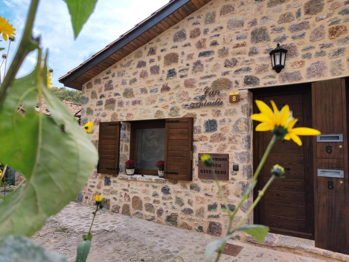 Triadu Chalet Camprodon